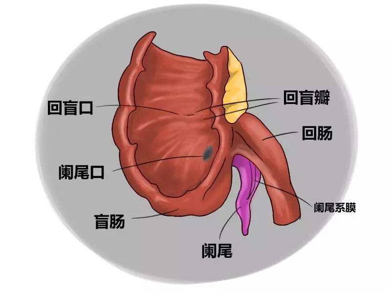 天津百信医院【综合官方网-二级医院-天津市医保定点医院